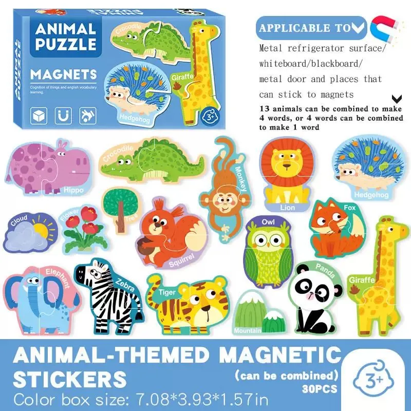 Magnetic Toy 6