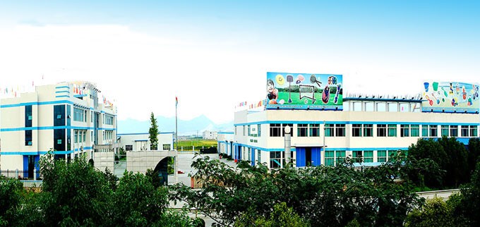 Company Overview