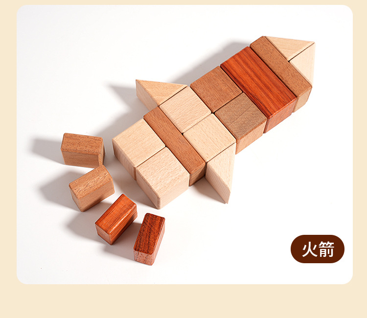 Cognitive Development Toy