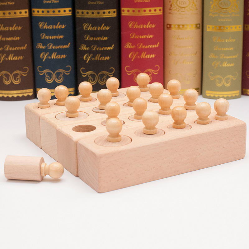 Montessori Wooden Sensory Cylinder Toy for Kids Color Matching Shape Recognition Educational Socket Toy for Cognitive