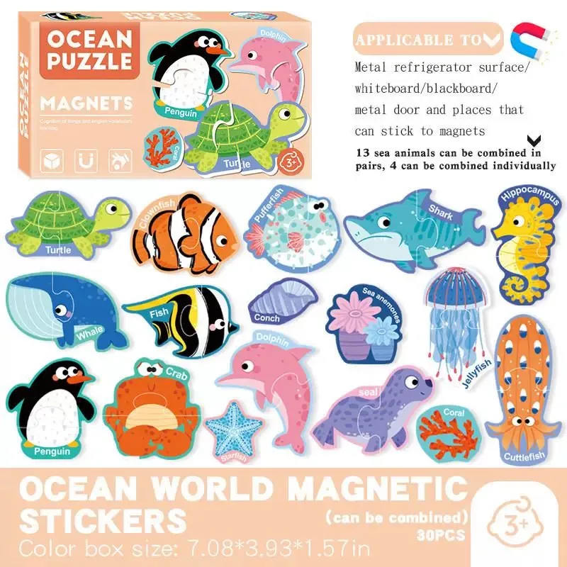 Magnetic Toy 10
