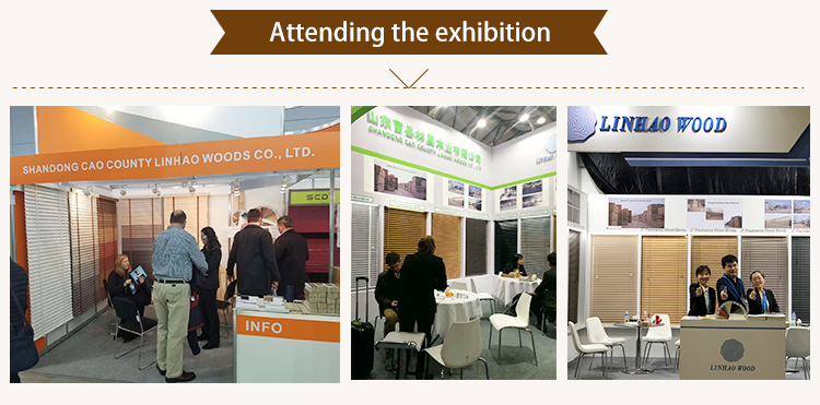 Exhibition Show