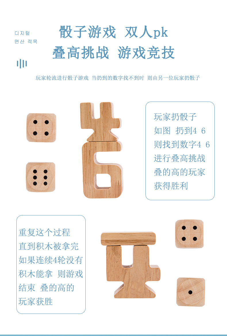 Product Description 10