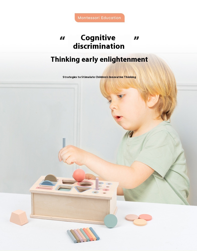 Educational Toy 2