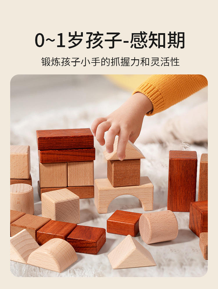 Montessori Wooden Toy