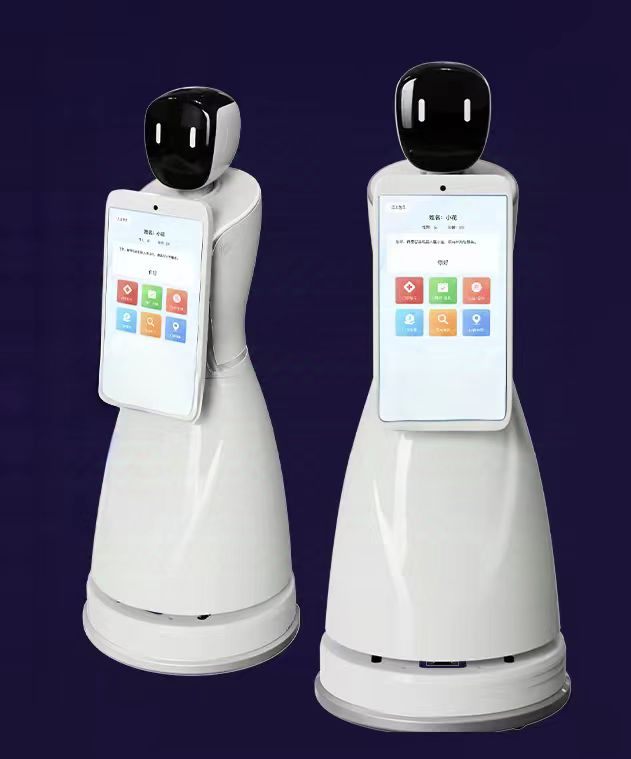 Intelligent Humanoid Robot Reception Assistant for Medical, Education &amp; Commercial Fields