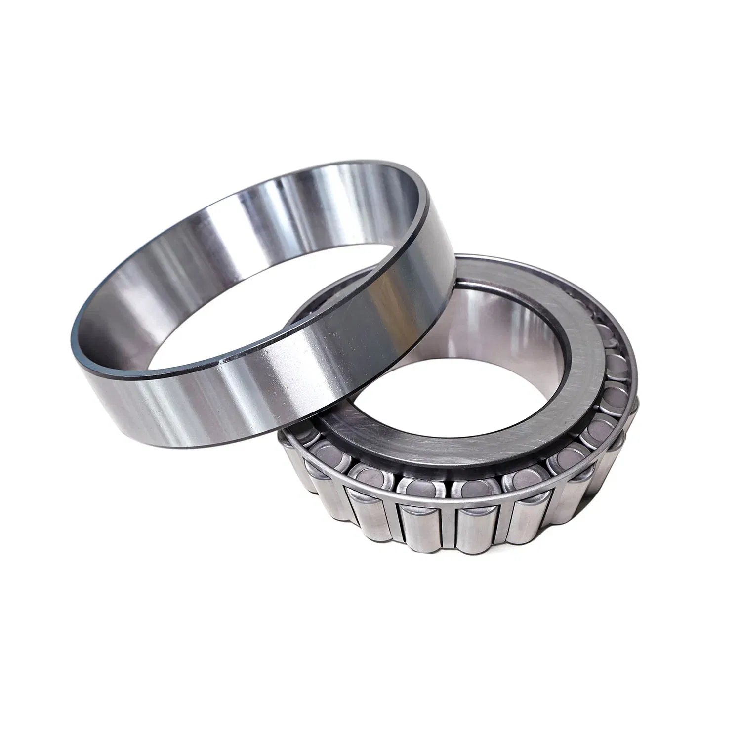 Zy148 Bio-Inspired and Additively Manufactured Bearing Structures Exploring Novel Designs for Weight Reduction and Customized Performance