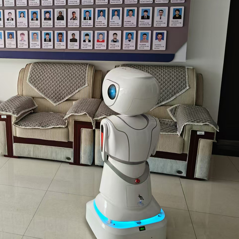 Educational Stem Coding Lessons Interactive Games Humanoid Service Robot