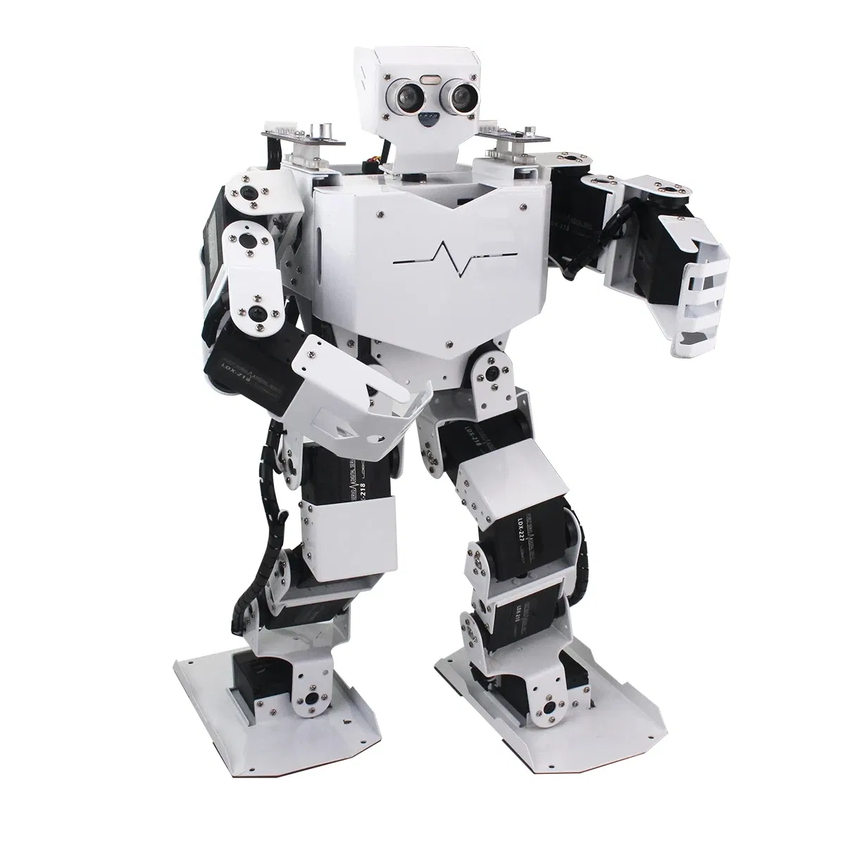 H3p Humanoid Robot: Your New Companion for Entertainment and Education