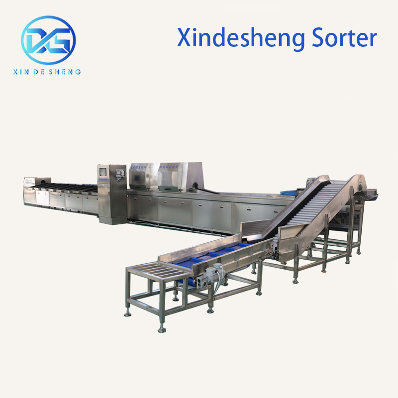 China Supplier Automatic Fruit Sorting Machine with Ai Vision for Apples Citrus