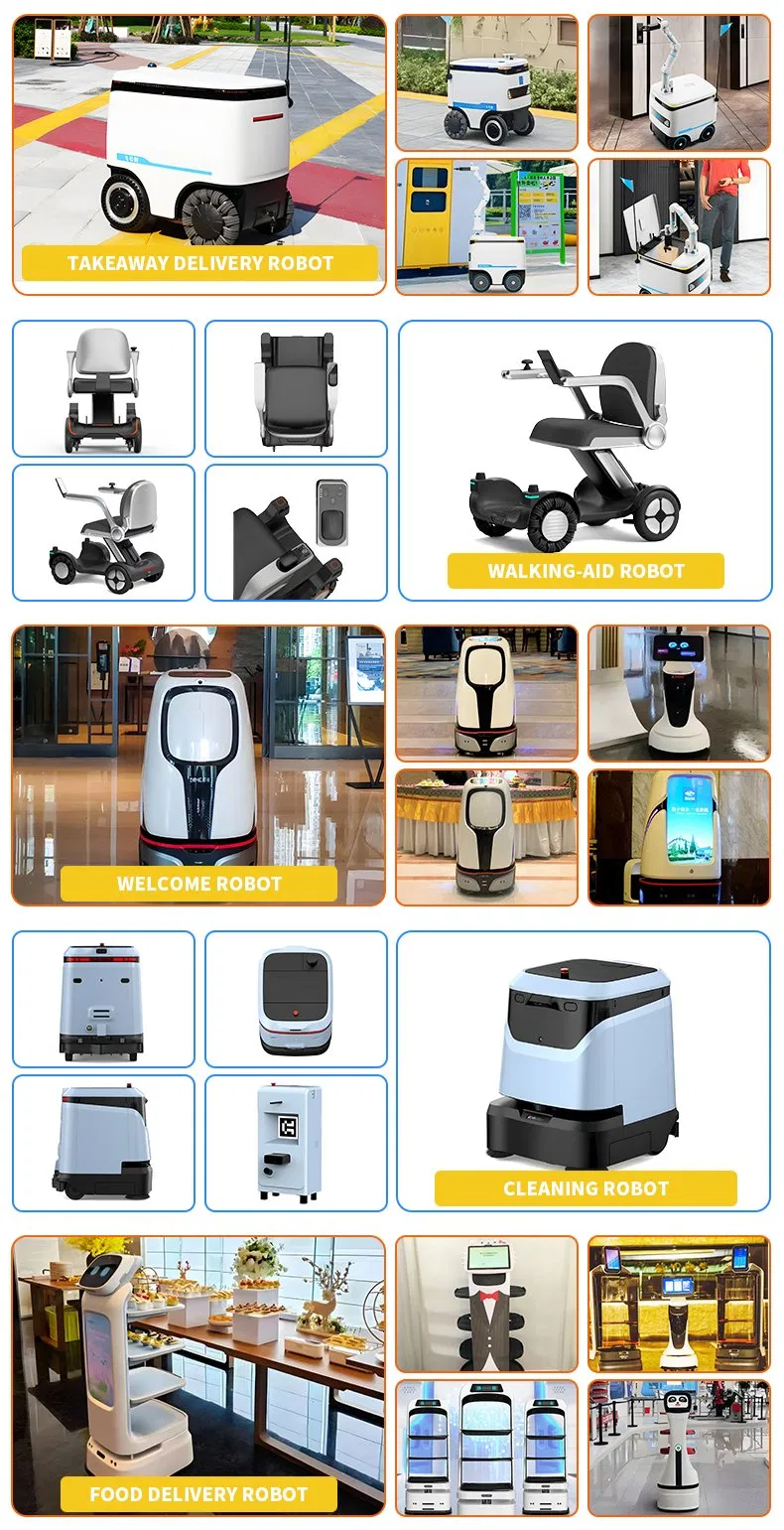 Product Display Showcase