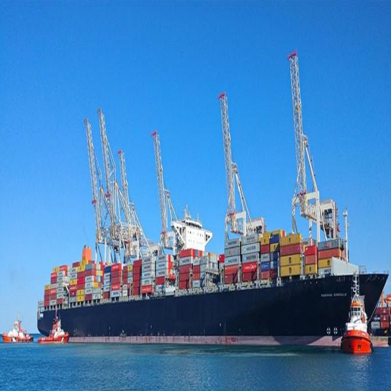 Discount Logistics Price Freight Forwarder Shipping Agent From China to Worldwide