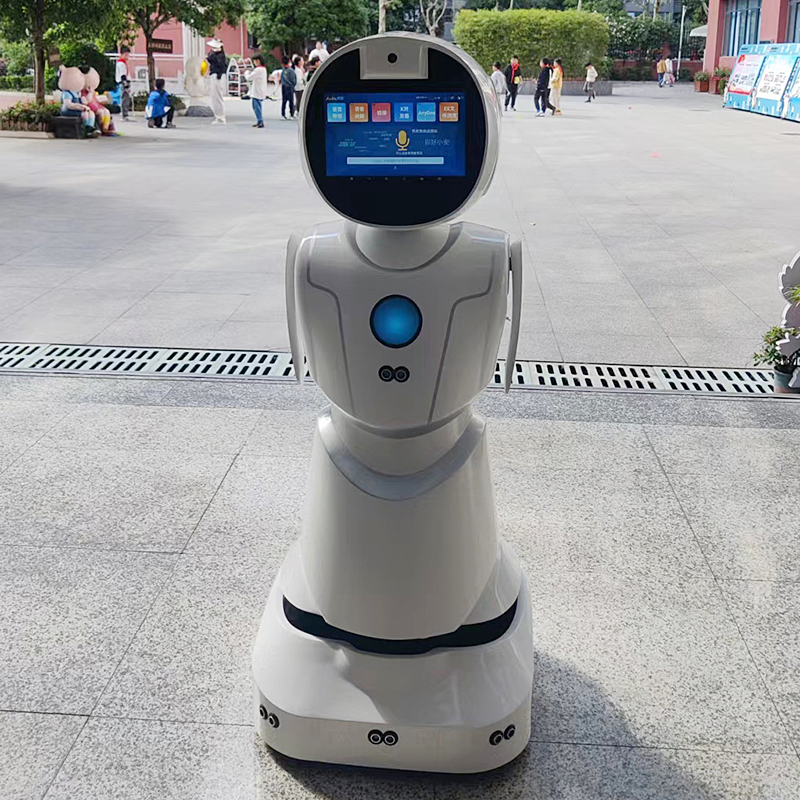 Ai-Based Natural Language Processing Emotional Understanding Humanoid Robot