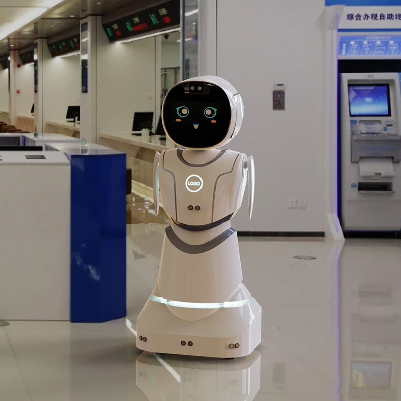 Educational Stem Lessons Coding Games Kids Learning Companion Humanoid Robot