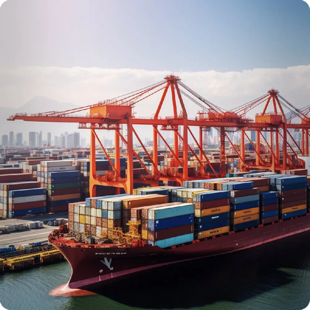 Professional and Fast Door to Door Shipment Dk Logistics Air Freight Forwarder