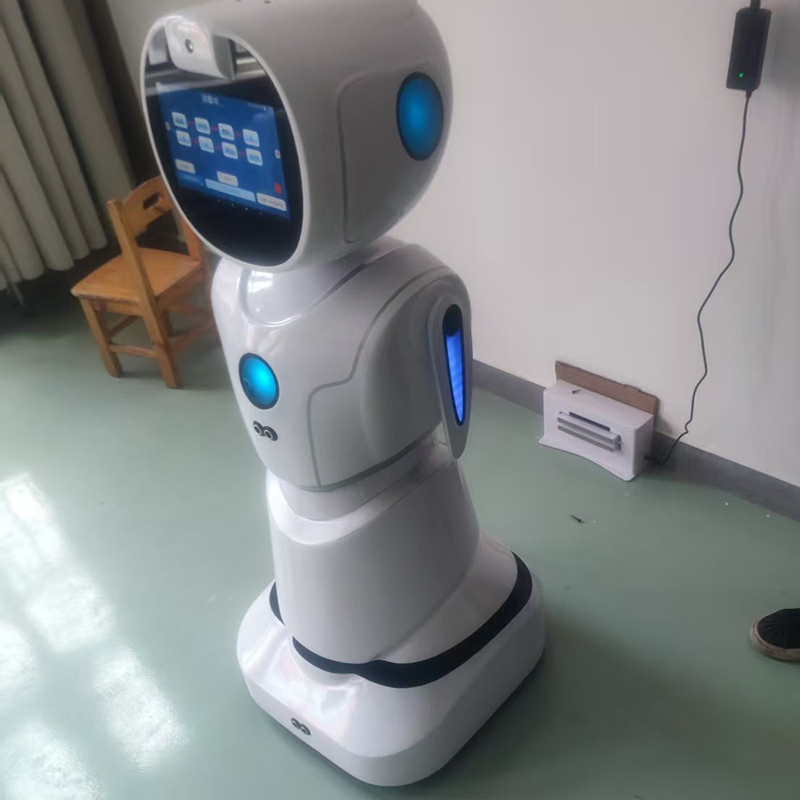 Customized Selling Educational Stem Coding Lessons Interactive Games Humanoid Service Robot
