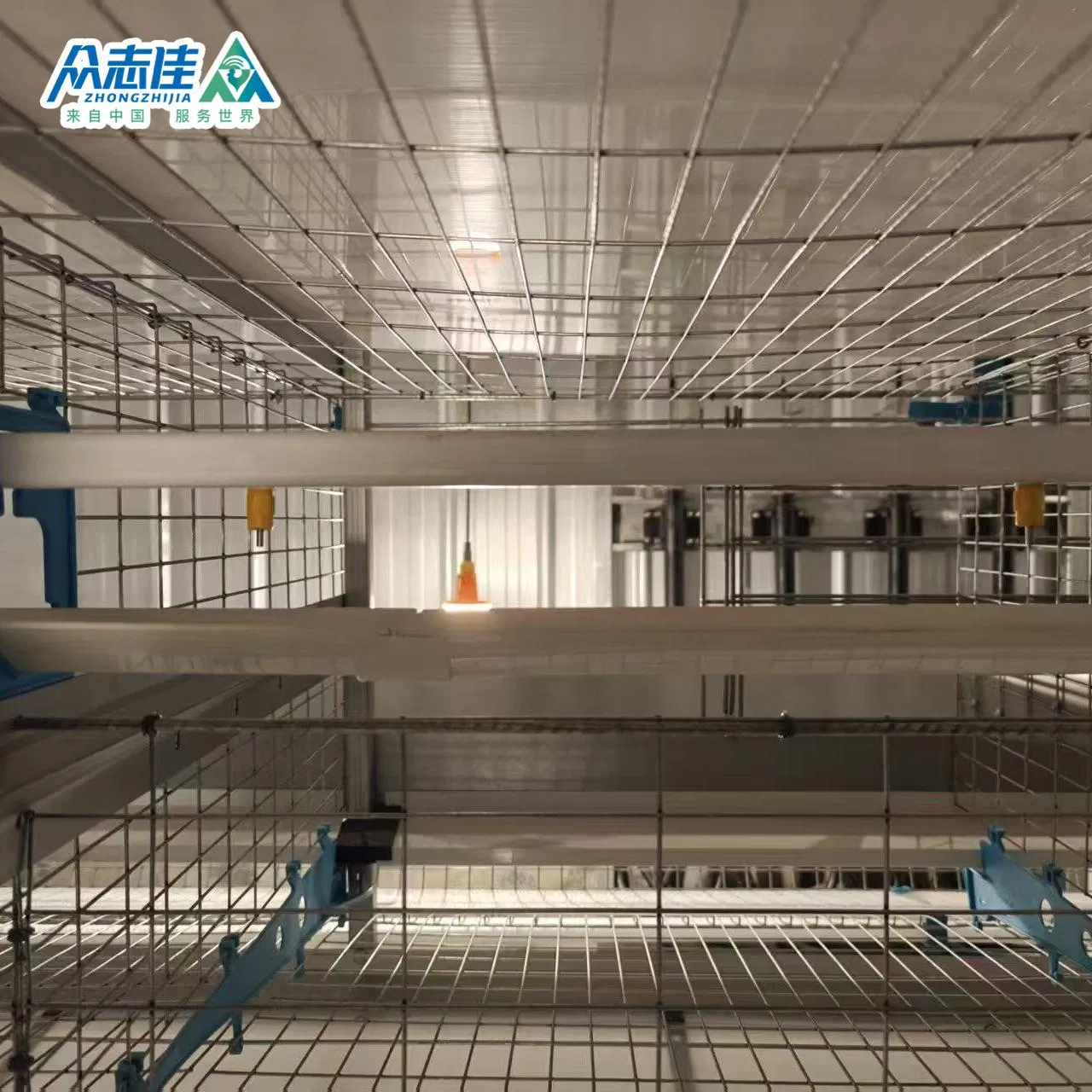 Hot Galvanized H Type Broiler Layer Battery Cage with Environmental Control System Poultry Farming Machine Cage-Coop-for-Poultry-Livestock