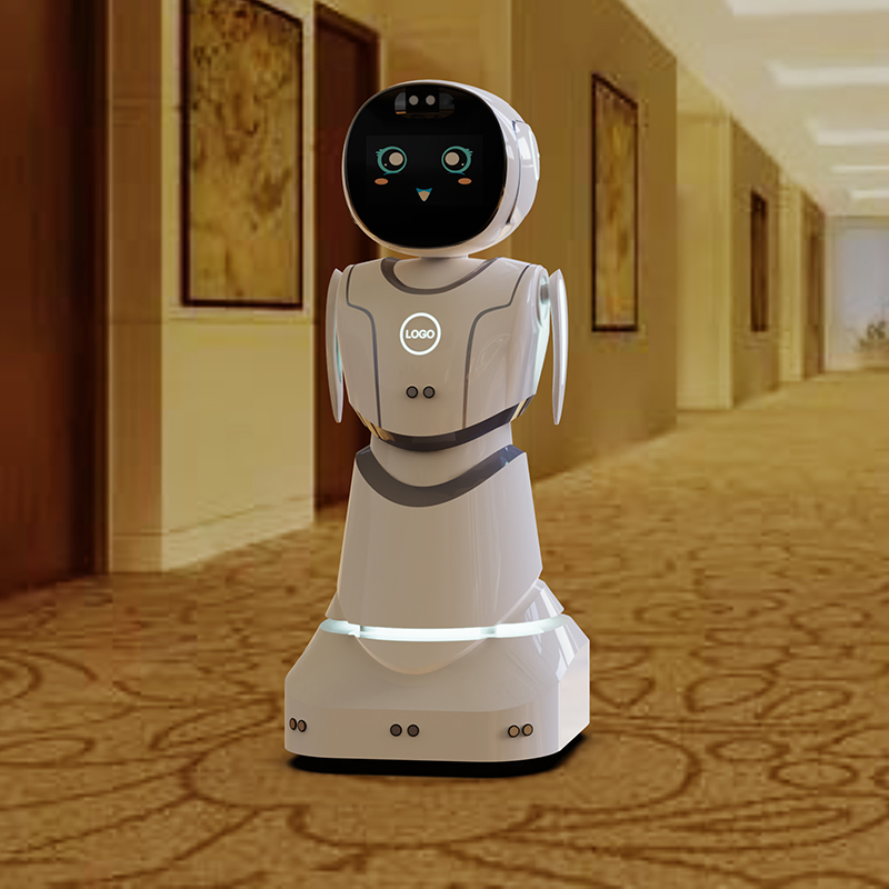 Educational Stem Lessons Coding Games Kids Learning Companion Humanoid Robot