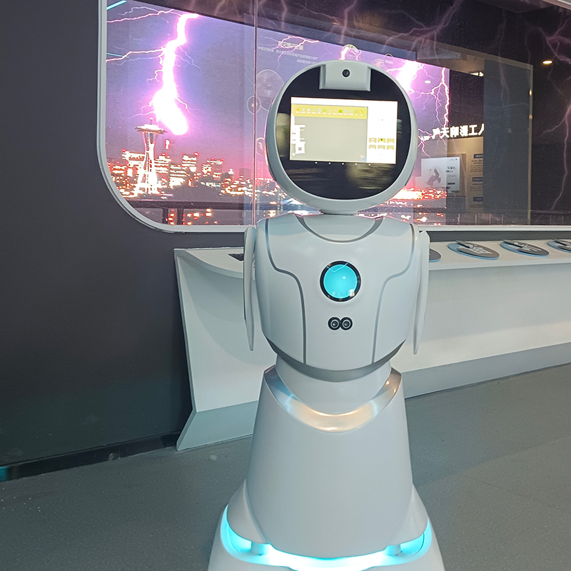 Ai-Enhanced Conversation Skills Sentiment Analysis Humanoid Robot
