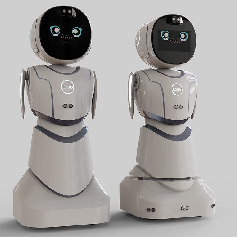Educational Lesson Planning Progress Tracking Tutoring Aid Humanoid Service Robot