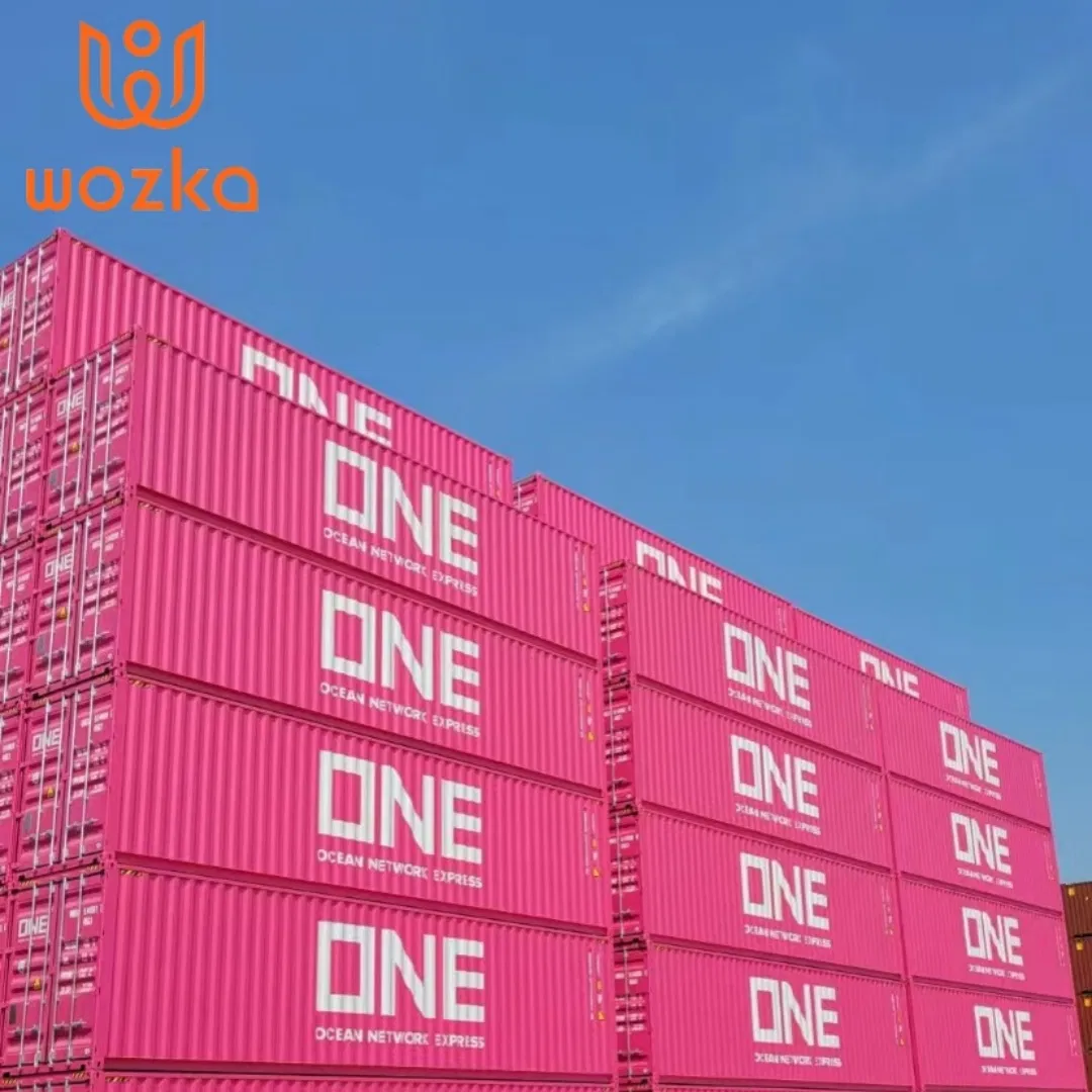 Reliable Sea Freight Forwarder From China to Germany Logistics Company