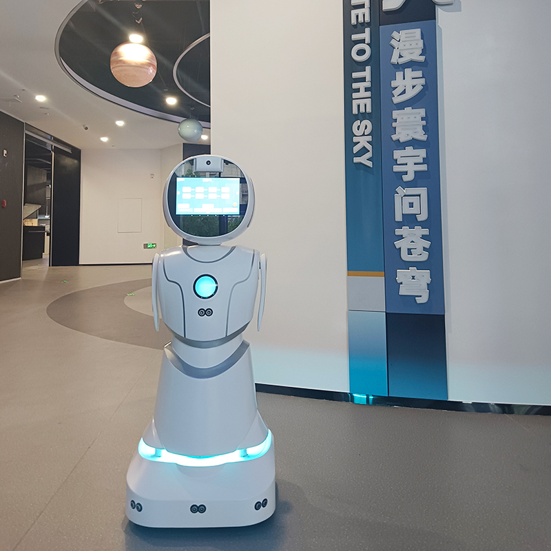 Educational Stem Coding Lessons Interactive Games Humanoid Service Robot