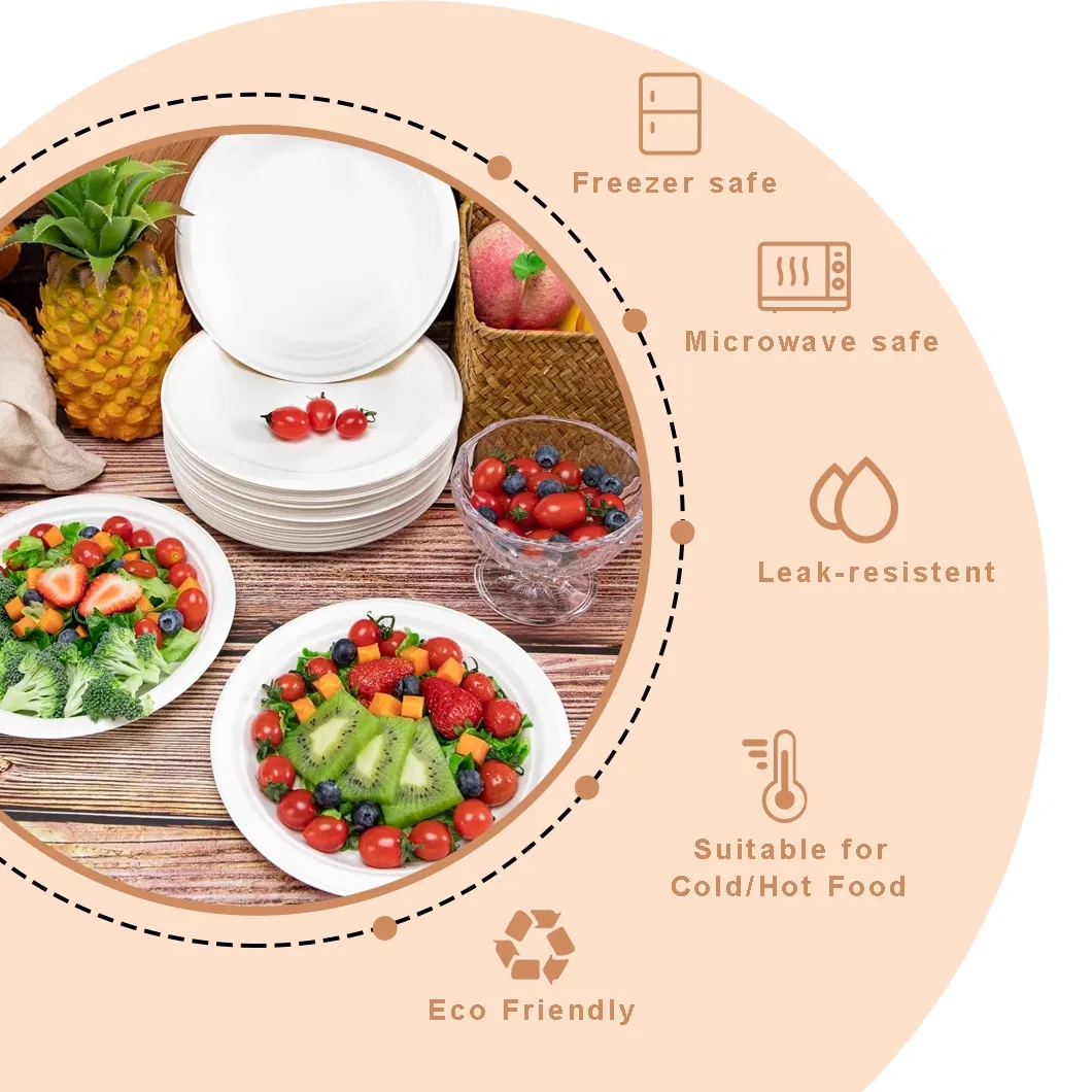 Wheat Straw Plate Display 2