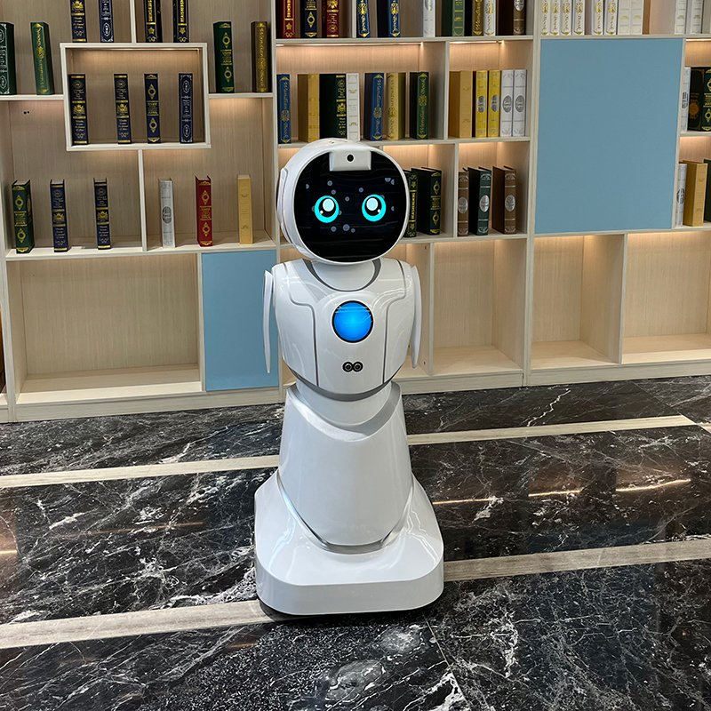 Educational Interactive Games Stem Coding Lessons Kids Learning Humanoid Robot