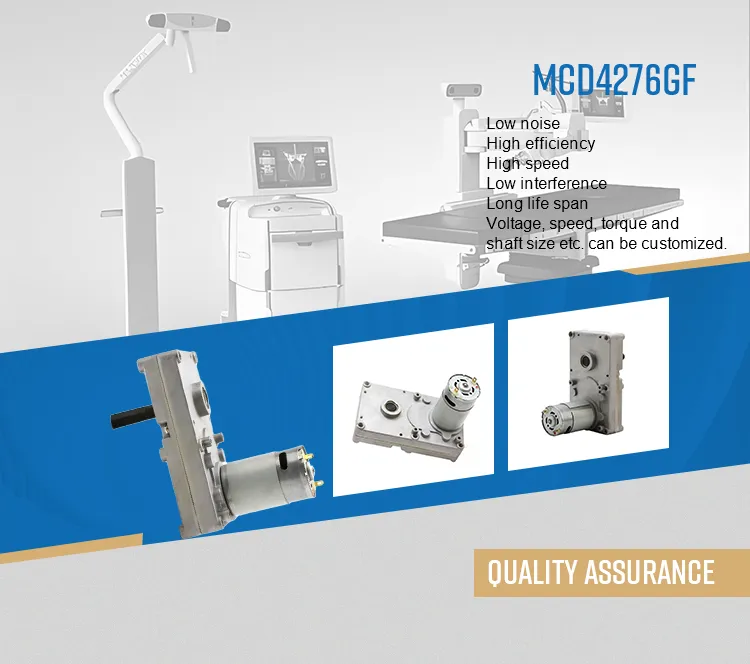 DC Worm Gear Motor View 1