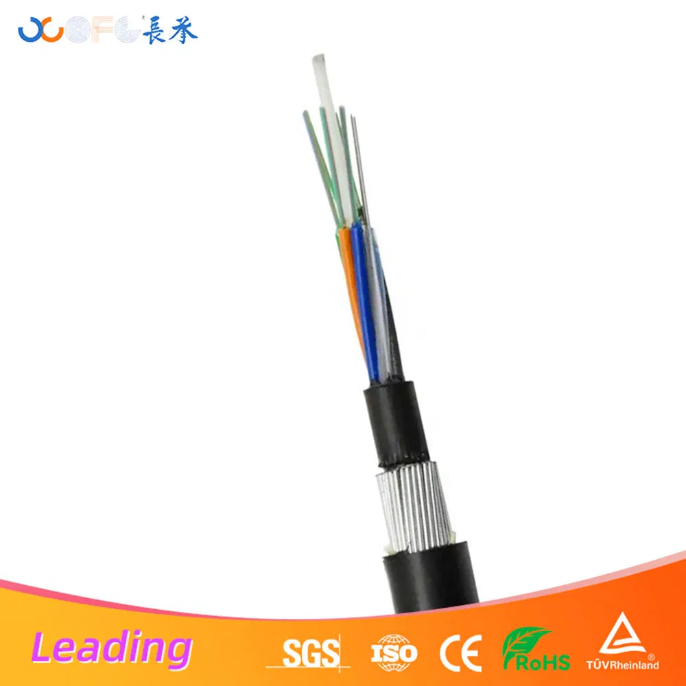 GYFTY33 Fiber Cable for Outdoor Educational Campus Networks