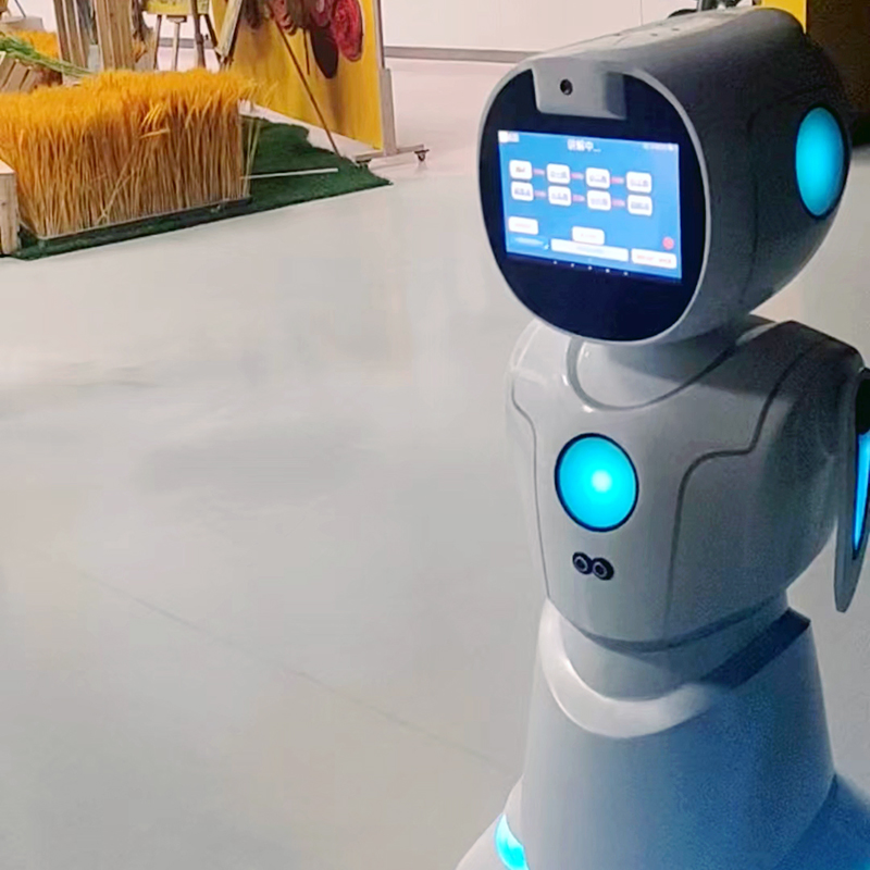 Ai-Driven Conversation Emotional Intelligence Multilingual Support Humanoid Robot