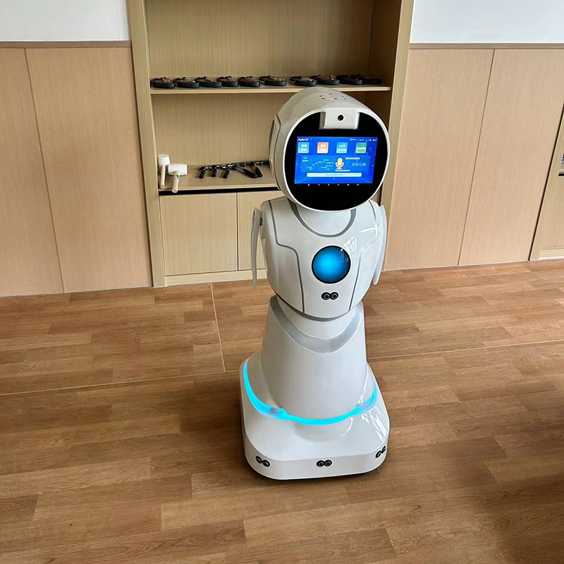 Educational Stem Coding Lessons Interactive Games Humanoid Service Robot