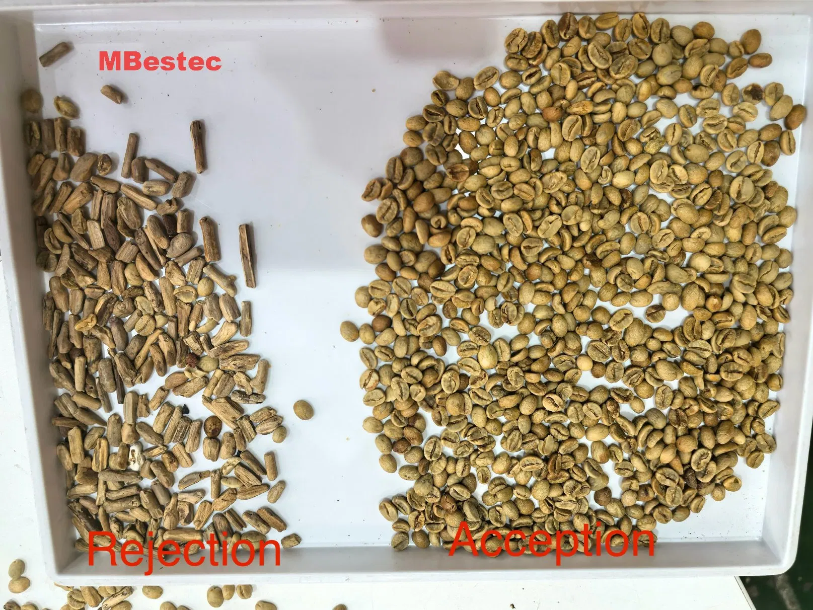 Mbestec Coffee Beans Color Selector 16t/H Capacity Ai Vision Shape Color Sorting Machine