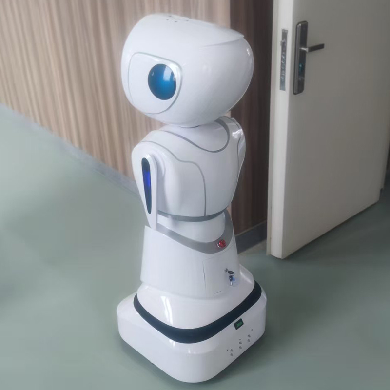 Customized Selling Educational Stem Coding Lessons Interactive Games Humanoid Service Robot