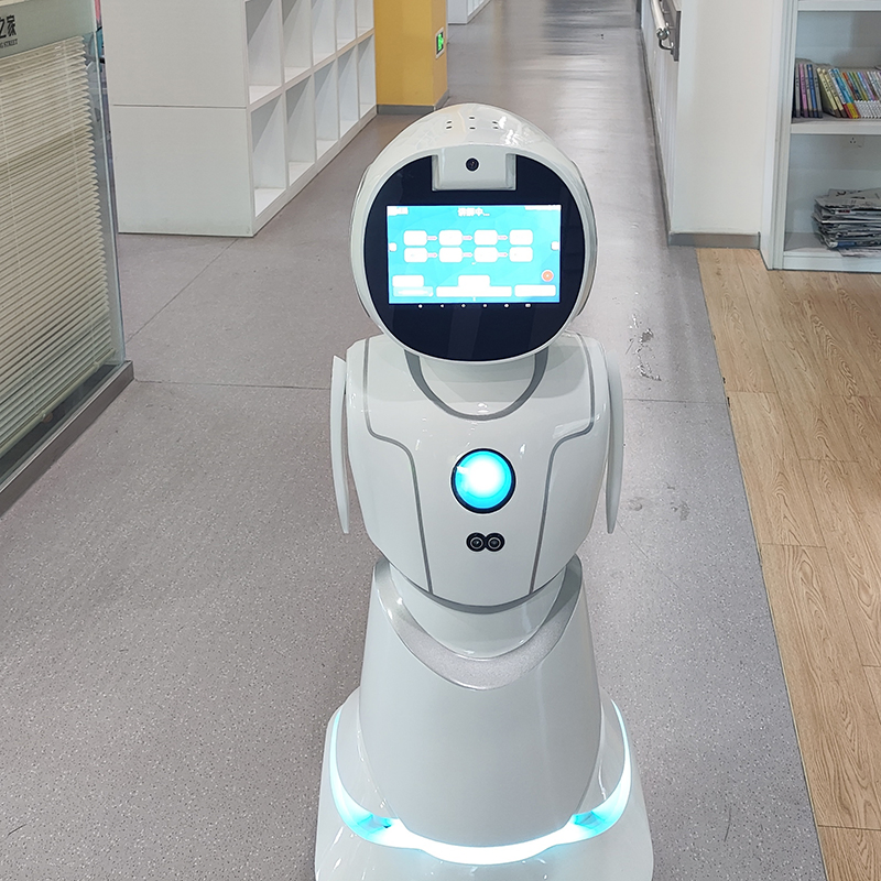 Ai-Enhanced Conversation Skills Sentiment Analysis Humanoid Robot