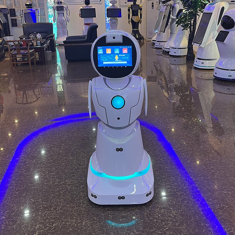 Ai-Powered Conversation Skills Emotional Recognition Social Interaction Humanoid Robot