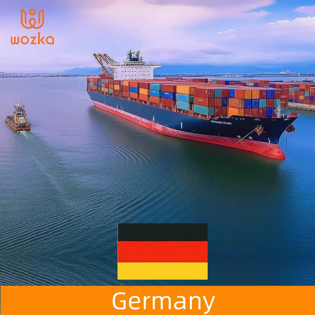 Reliable Sea Freight Forwarder From China to Germany Logistics Company