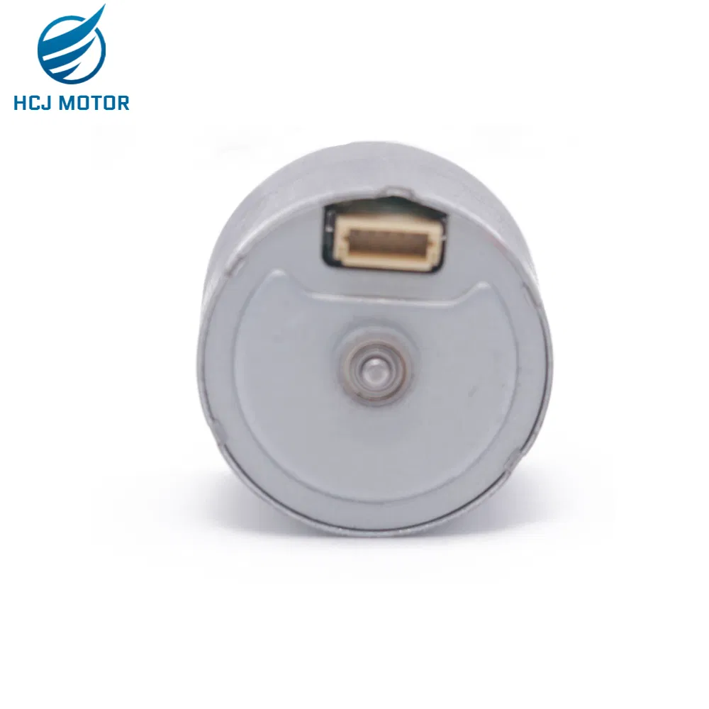 High Rpm Micro Customized Small DC Motor 6V 12V 24V 24mm Electronics Brushless Mini BLDC Motor