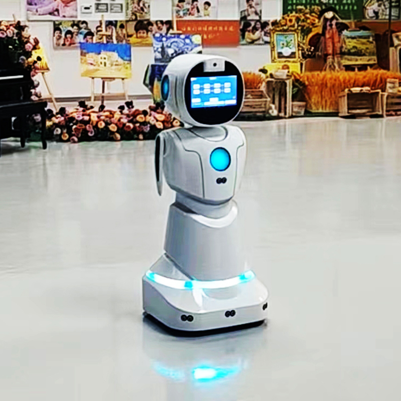 Educational Interactive Games Stem Coding Lessons Kids Learning Humanoid Robot