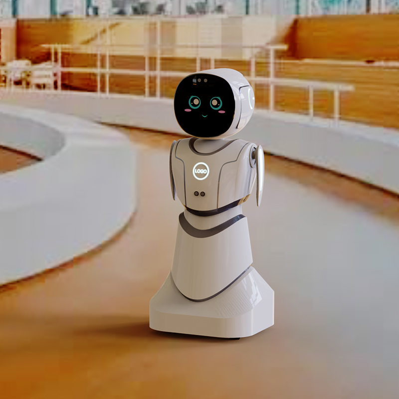 Ai-Powered Conversation Skills Emotional Recognition Social Interaction Humanoid Robot