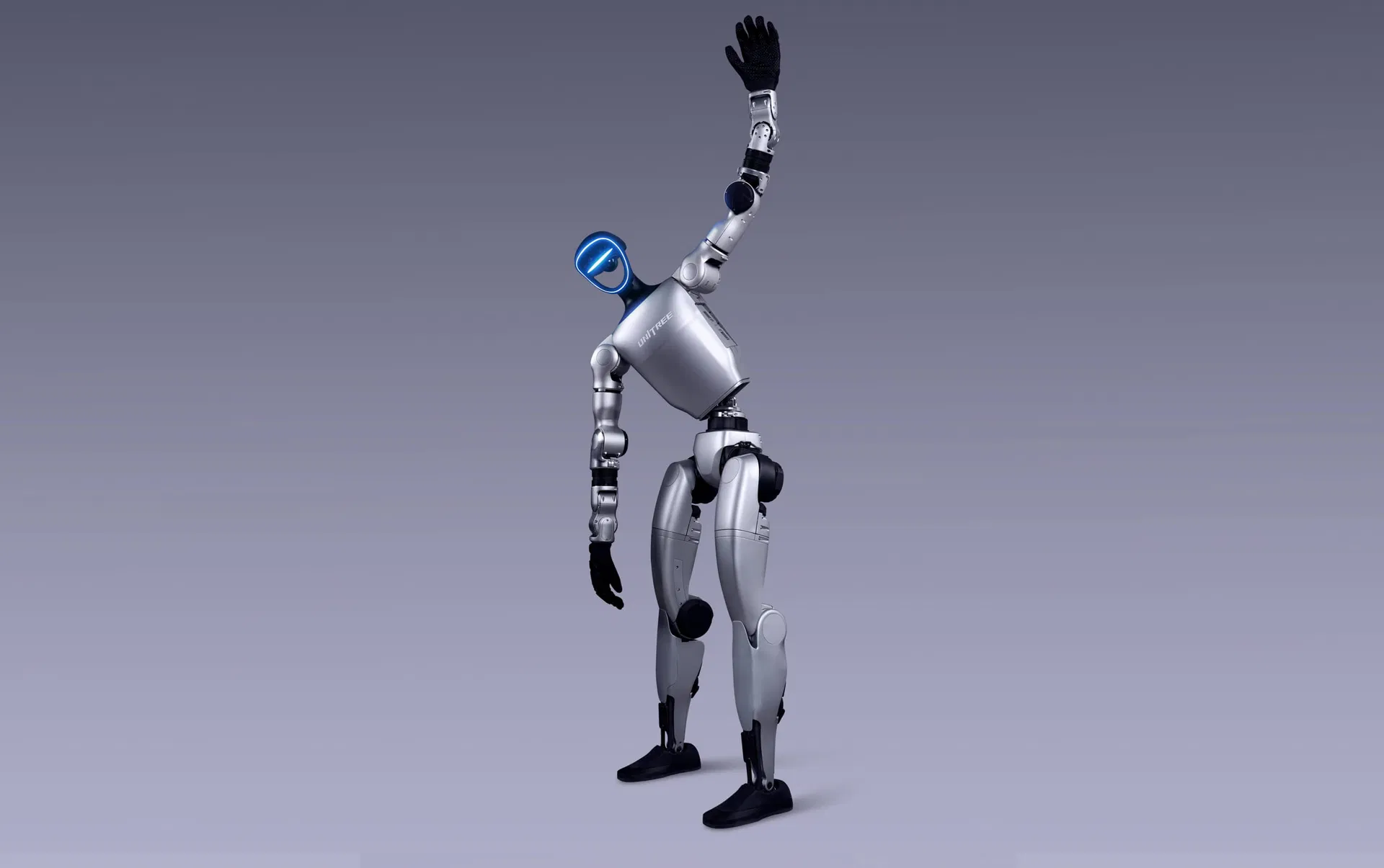 Humanoid Robot Feature 3