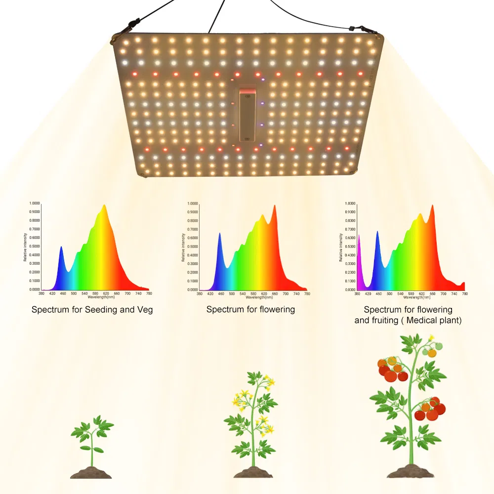 300W Indoor LED Plant Plant Stands Marijuana Grow Tent Kit Full-Cycle Good LED 6500K LED Grow Tent Kit with Samsung LEDs (EMC) for Indoor Plant