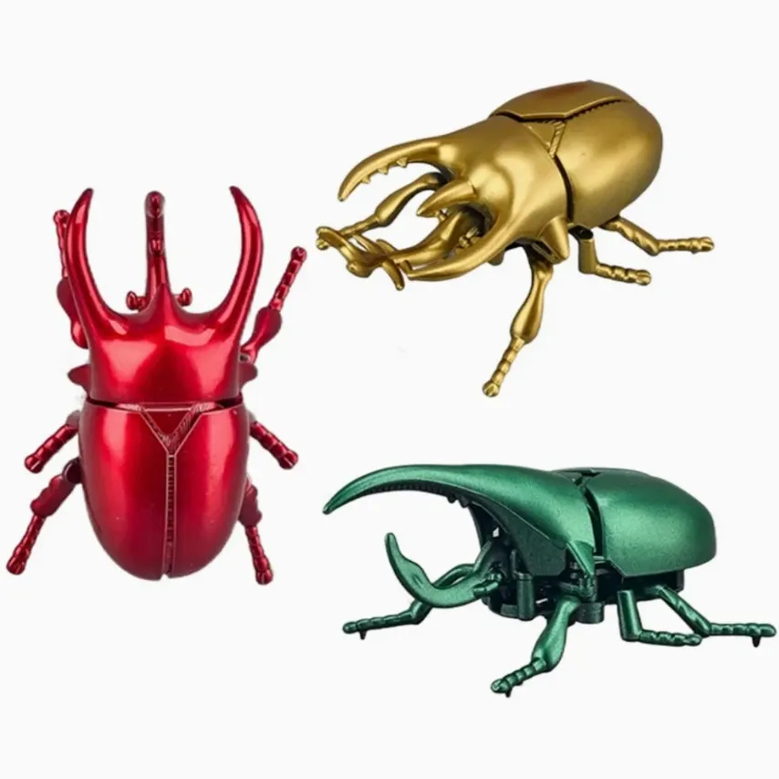 Creative Beetle Toy