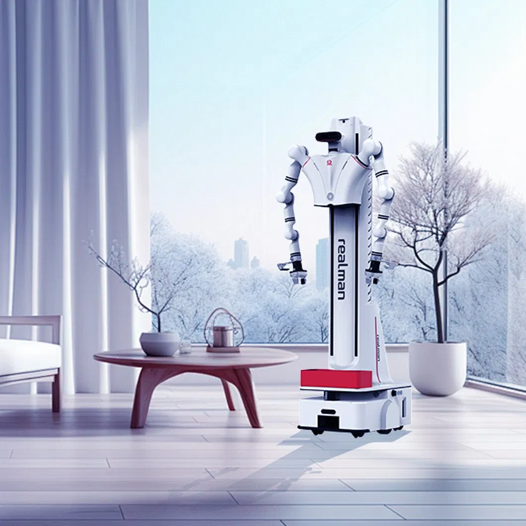 Realman Dual-Arm Mobile Compound Robot Platform for Education, Research, and Intelligent Training