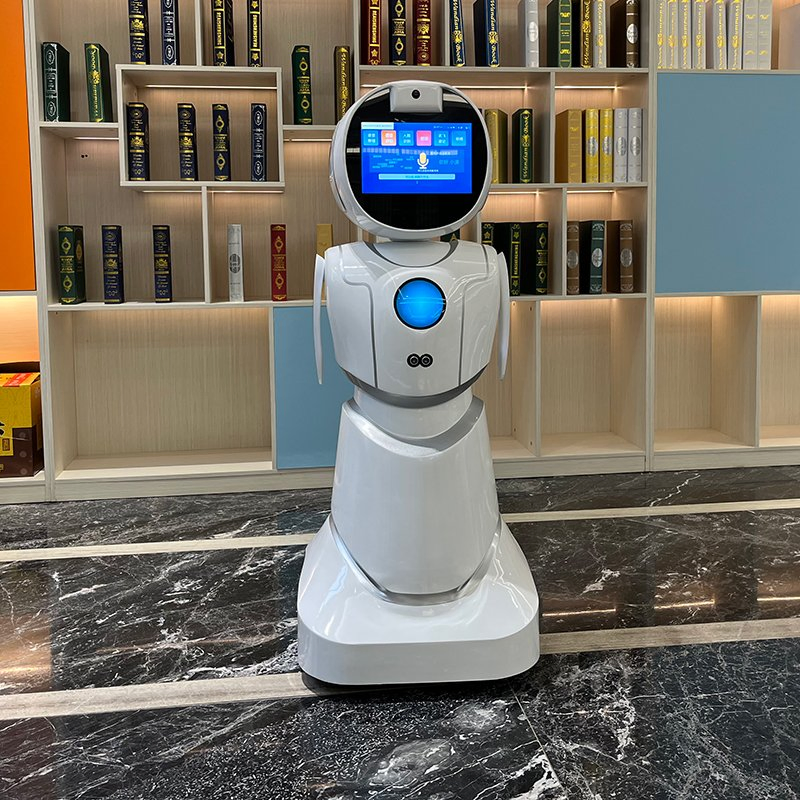 Ai-Driven Conversation Emotional Intelligence Multilingual Support Humanoid Robot