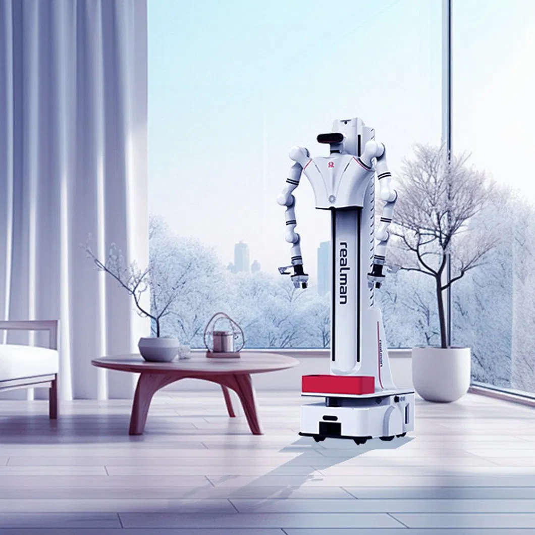 Dual Arm Compound Robot Providing Services for Education Industry