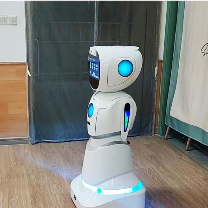 Educational Interactive Games Stem Coding Lessons Kids Learning Humanoid Robot