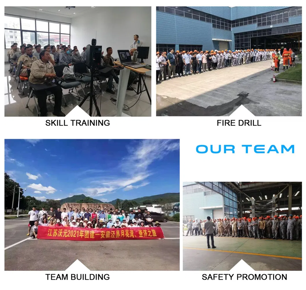 Our Professional Team