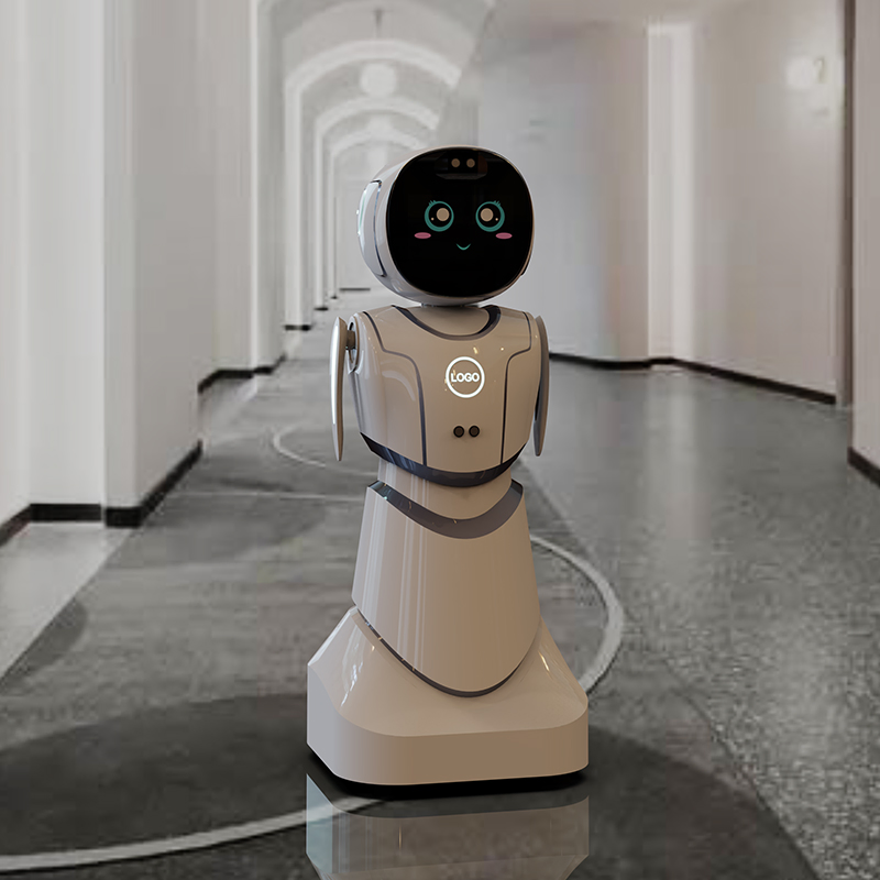 Educational Lesson Planning Progress Tracking Tutoring Aid Humanoid Service Robot