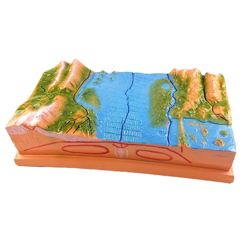 Tectonic Earth Terrestrial Plate Model for Geography